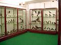 Miniatura wersji z 22:05, 7 sie 2011