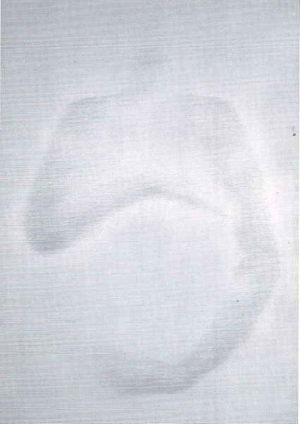 Plik:Kulik22.jpg