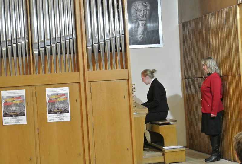 Plik:OKOrg.2013.15.JPG