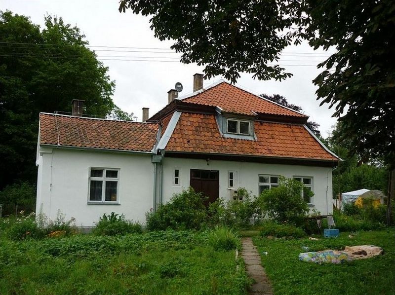 Plik:Dwor piele 1.jpg