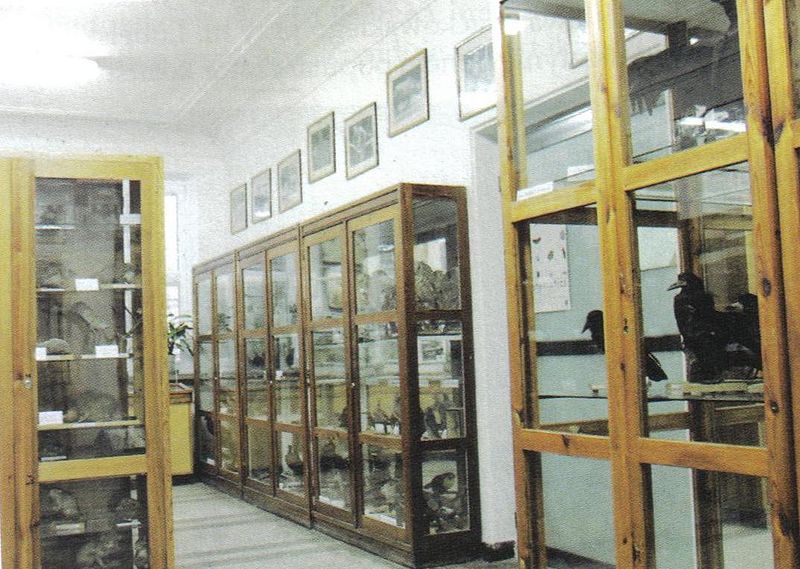 Plik:Muzsweng.jpg