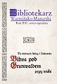 Miniatura wersji z 16:17, 30 cze 2010