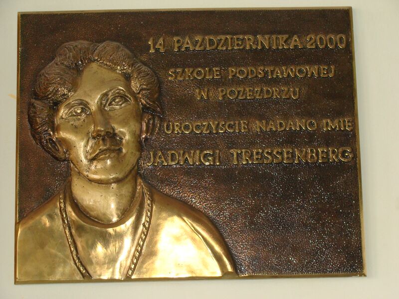Plik:Jadw.jpg