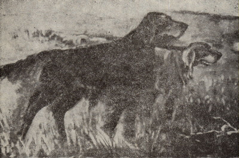 Plik:Kochanowski stefan2.jpg
