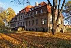 Pałac w Okowiźnie. Fot. Mieczysław Kalski