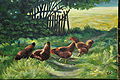 Miniatura wersji z 15:19, 22 sty 2011