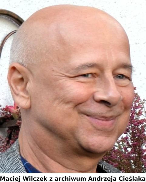 Plik:Wilczek.jpg