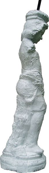 Plik:Fig1.jpg