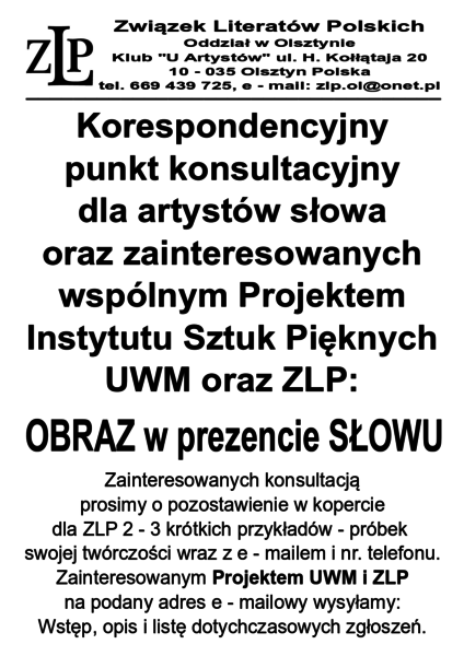 Plik:13. Punkt konsultacyjny.png