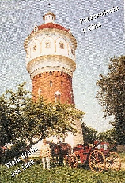 Plik:Mazury elk.jpg