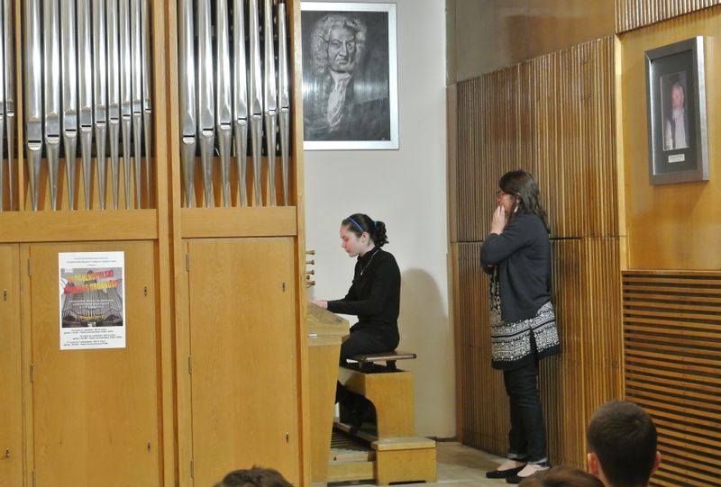 Plik:OKOrg.2013.24.JPG