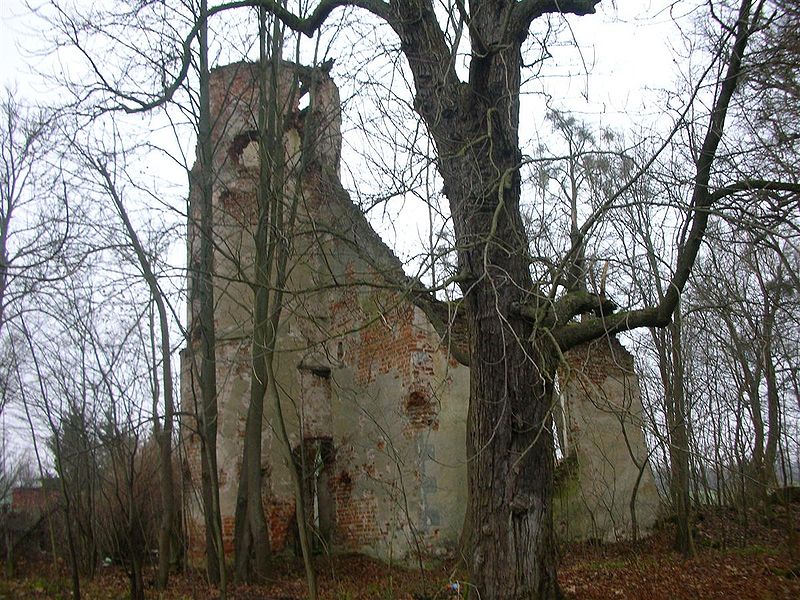 Plik:Palac karwiny 4.jpg