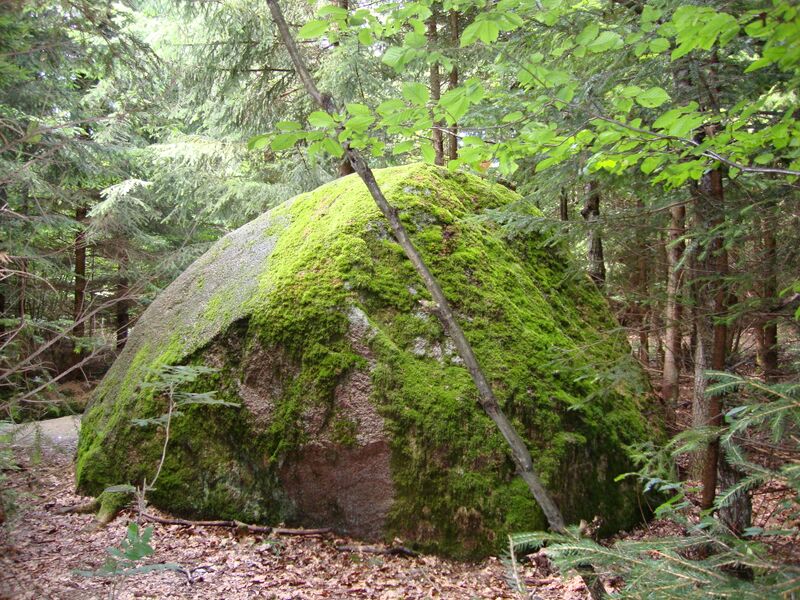 Plik:Borecka.jpg