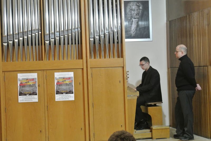 Plik:OKOrg.2013.40.JPG