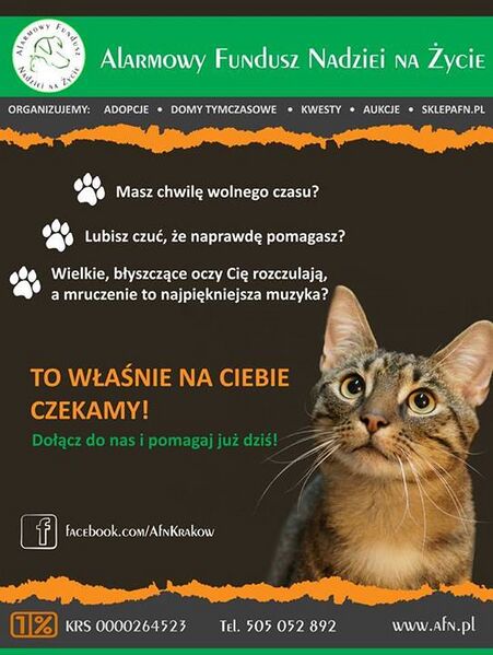 Plik:Plakat afn.jpg