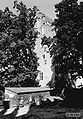 Miniatura wersji z 08:23, 24 lut 2014
