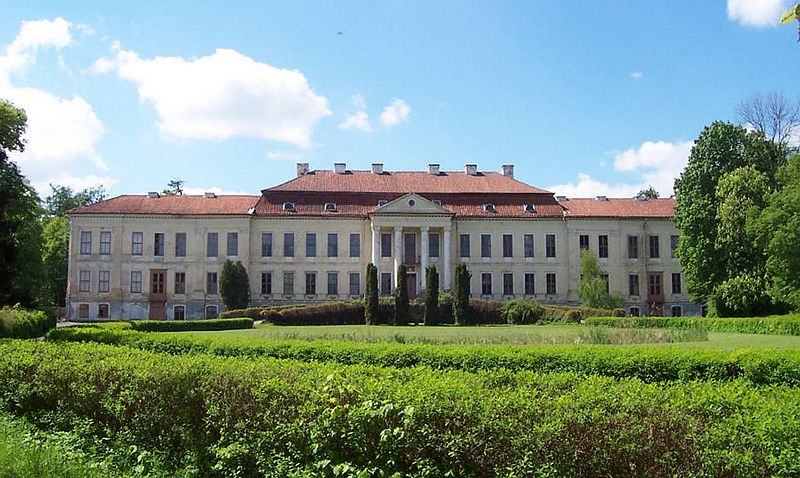 Plik:Palac w drogoszach1.jpg